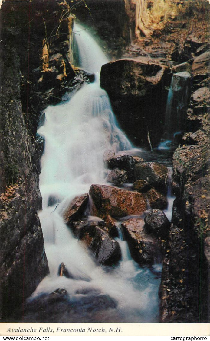 United States NH White Mountains Avalanche Falls - White Mountains