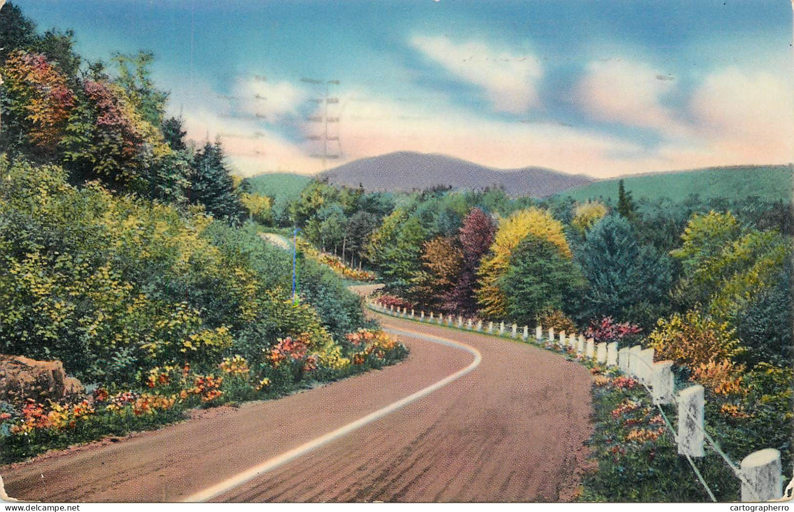 United States CT Country Road Fairfield County 1953 - Bridgeport
