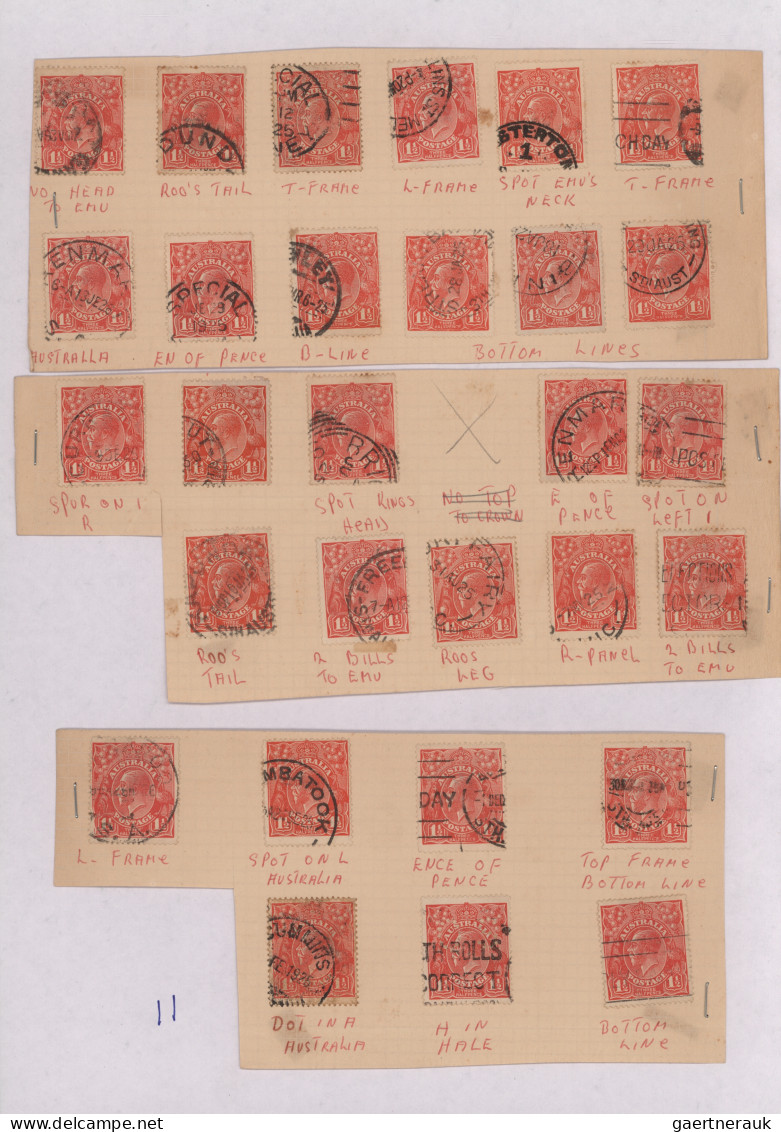 Australia: 1924/1926 Specialized Collection Of More Than 300 Stamps KGV. 1½d. Sc - Collections