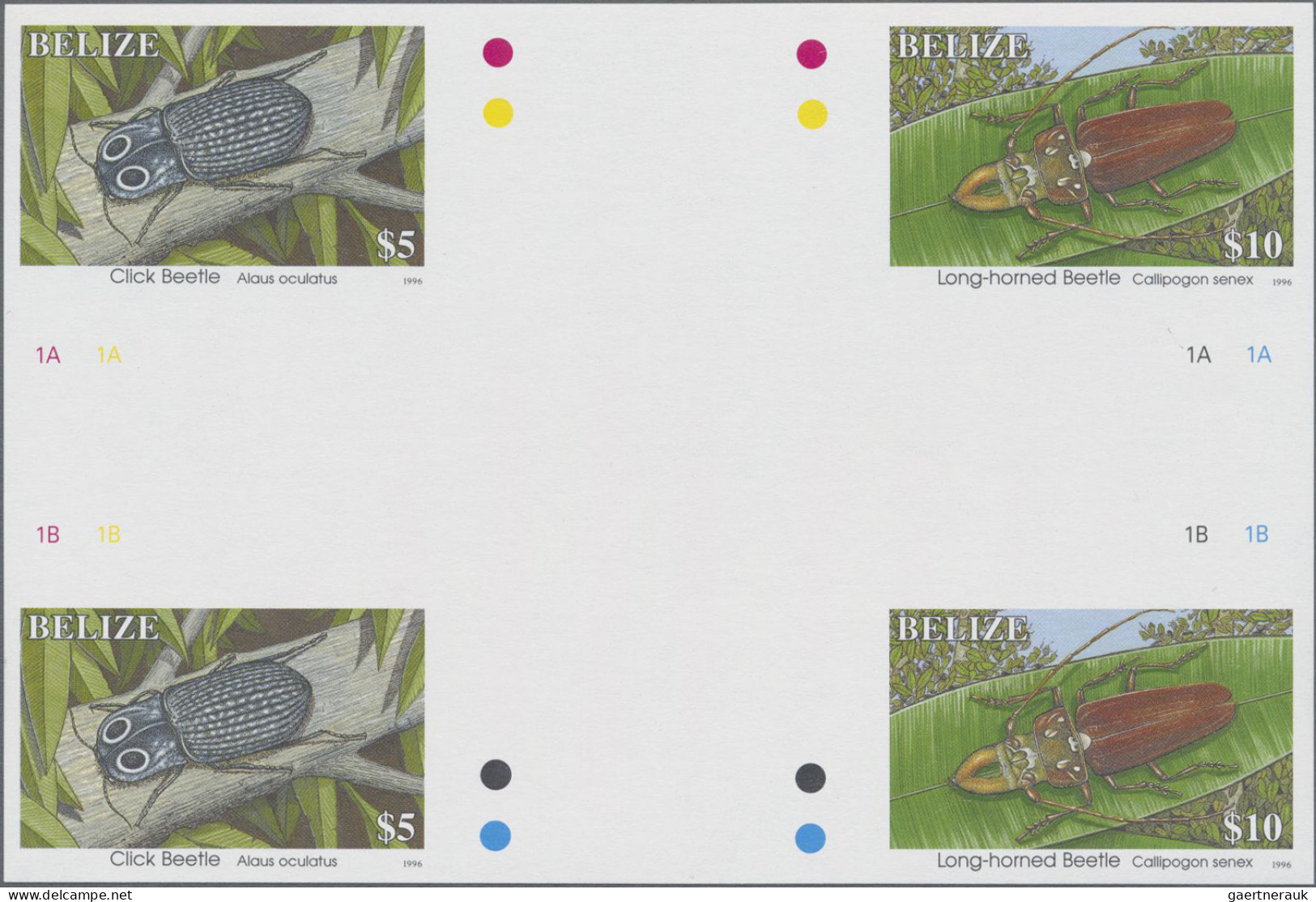 Belize: 1995/2012. Collection Containing 101 IMPERFORATE Stamps (inclusive S/s, - Belice (1973-...)