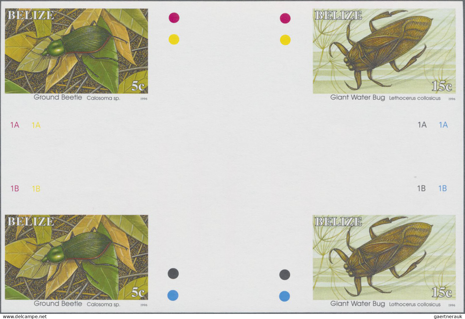 Belize: 1995/2012. Collection containing 101 IMPERFORATE stamps (inclusive s/s,