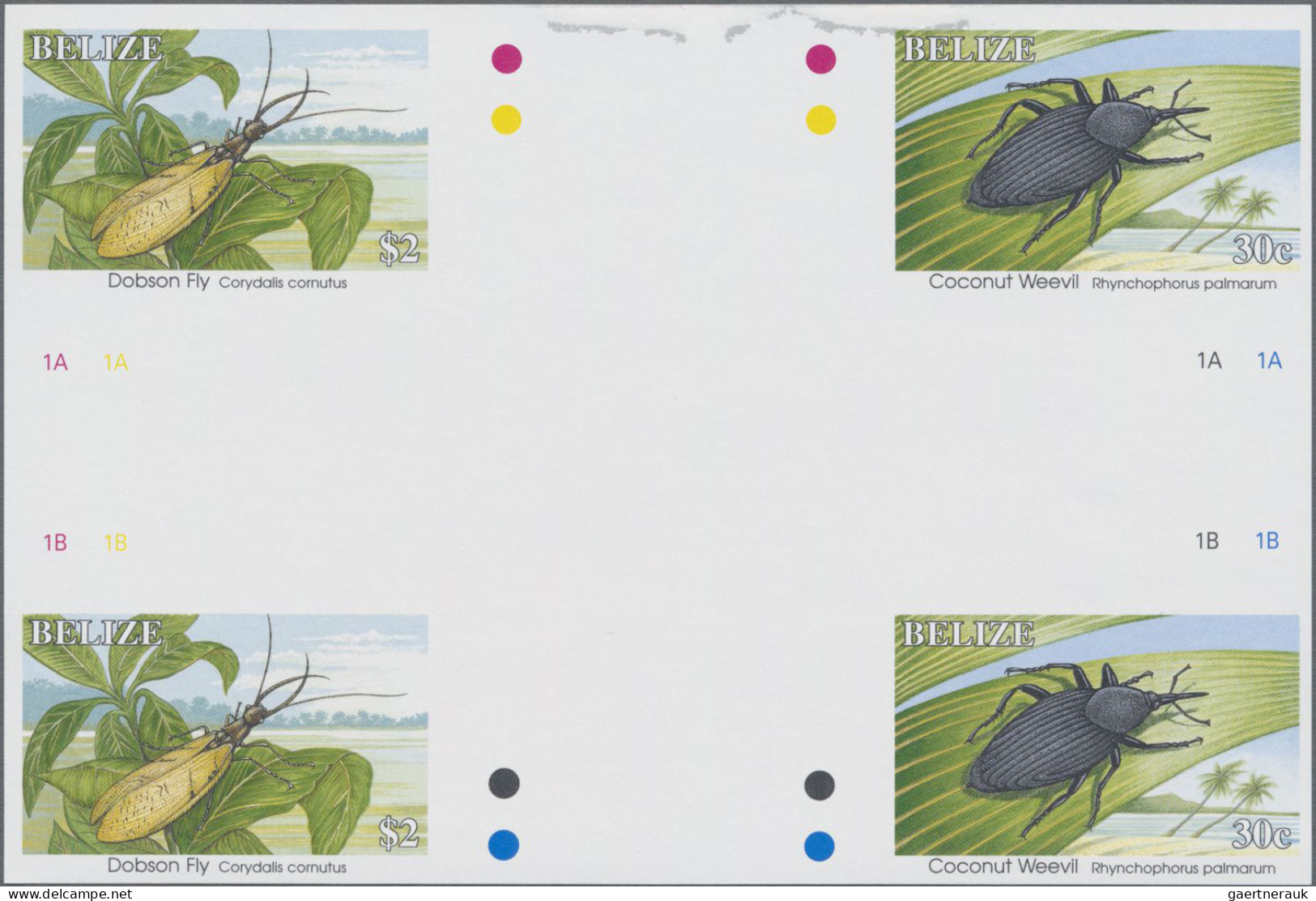 Belize: 1995/2012. Collection containing 101 IMPERFORATE stamps (inclusive s/s,