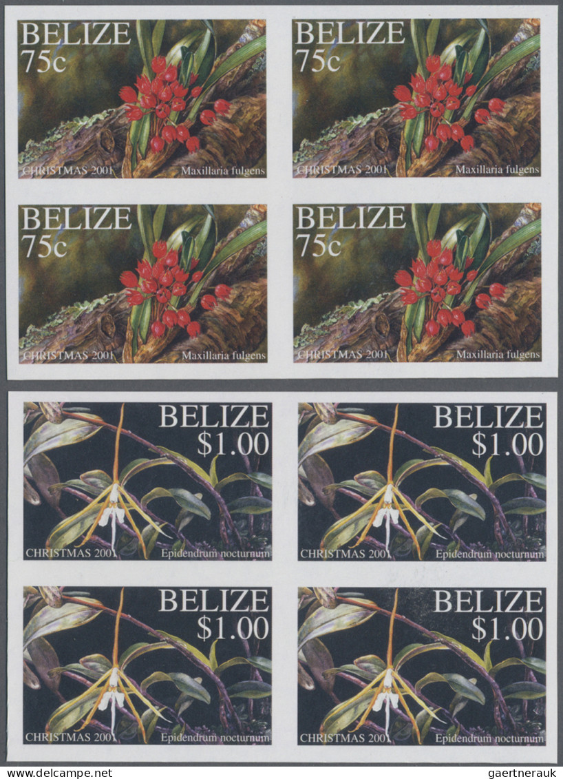 Belize: 1995/2012. Collection containing 101 IMPERFORATE stamps (inclusive s/s,