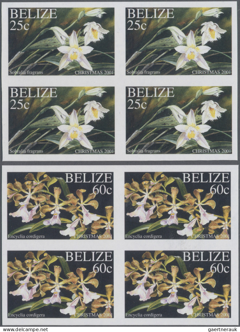 Belize: 1995/2012. Collection containing 101 IMPERFORATE stamps (inclusive s/s,