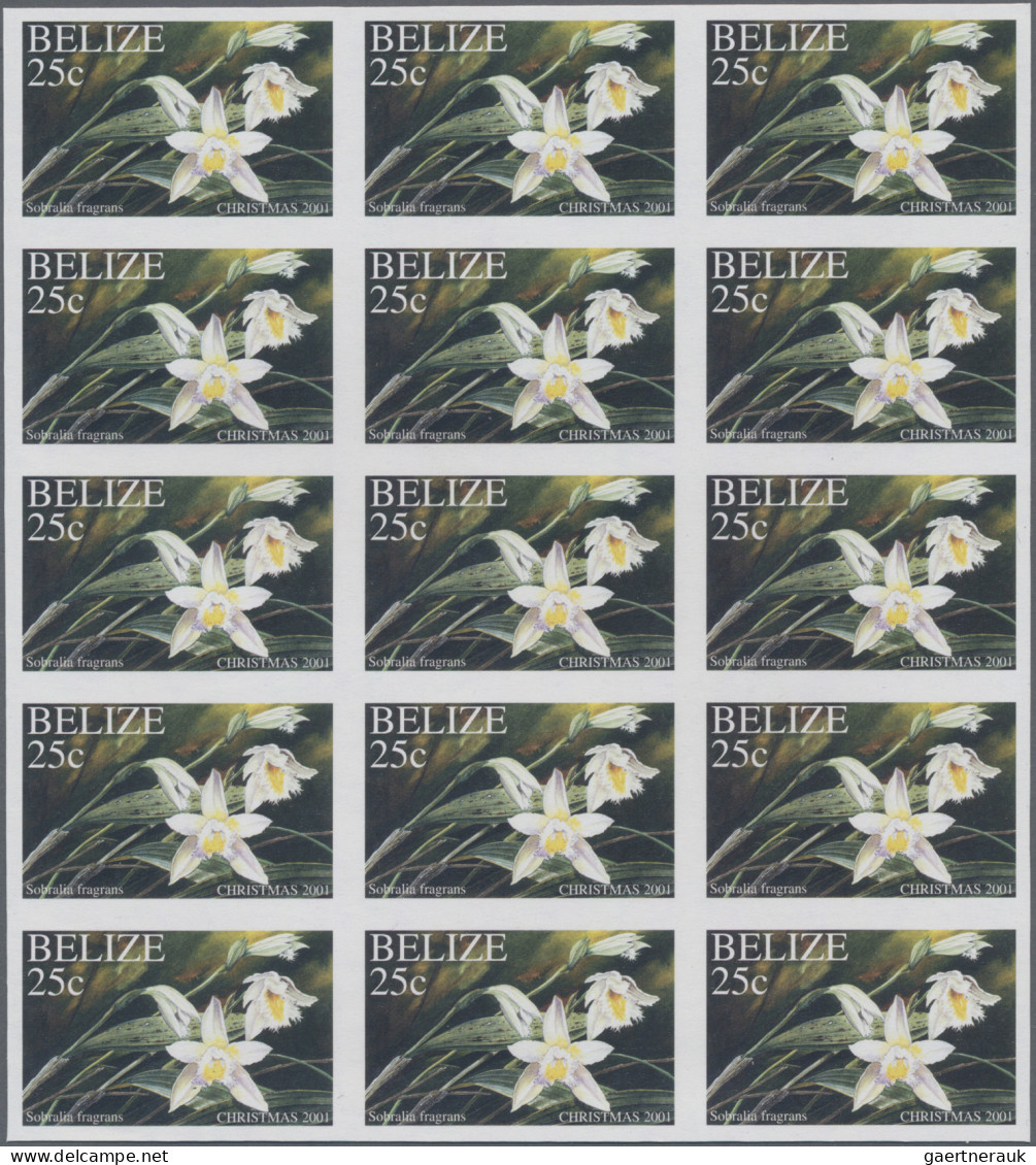 Belize: 1996/2015. Collection Containing 836 IMPERFORATE Stamps (inclusive Some - Belice (1973-...)
