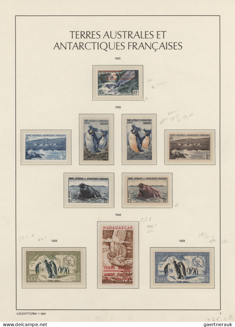 French Antarctic: 1948/1999 Mint Collection In A Binder, Starting With 1948 Stam - Brieven En Documenten