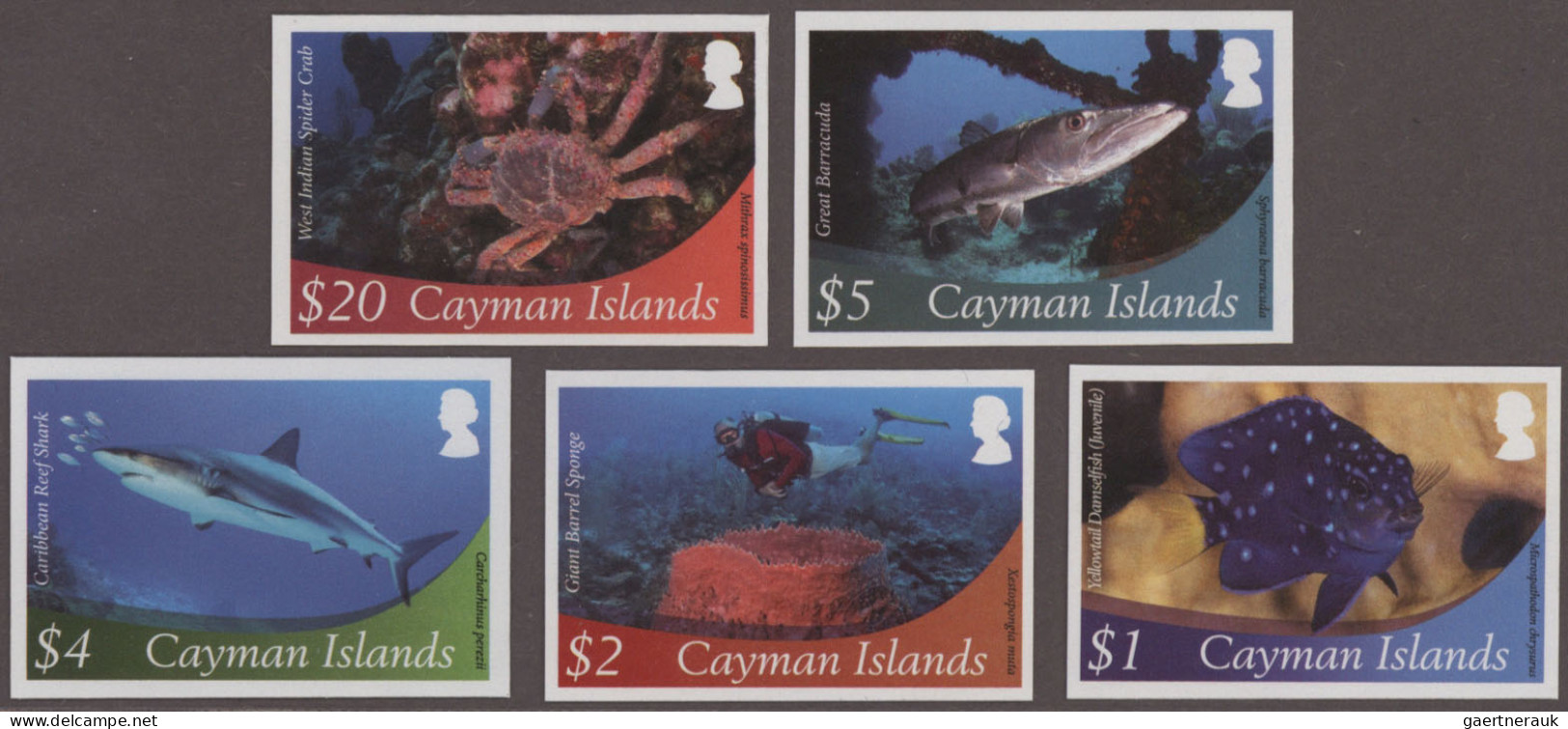 Cayman Islands: 2000/2015. Collection Containing 2416 IMPERFORATE Stamps And 19 - Cayman (Isole)