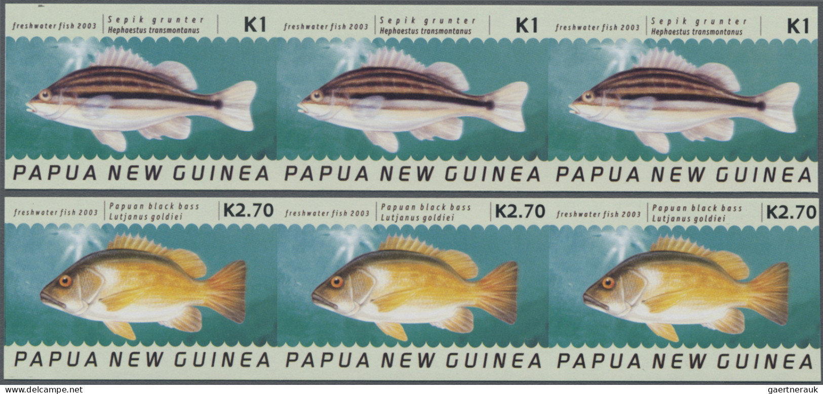 Papua New Guinea: 2003/2005. Collection containing 655 IMPERFORATE stamps and 5