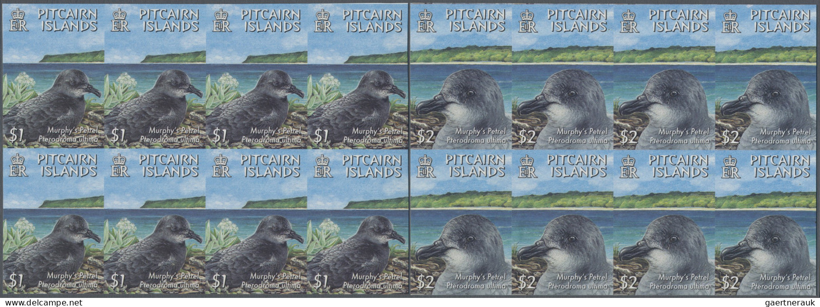 Pitcairn: 2002/2006. Collection Containing 452 IMPERFORATE Stamps Concerning Var - Pitcairn Islands