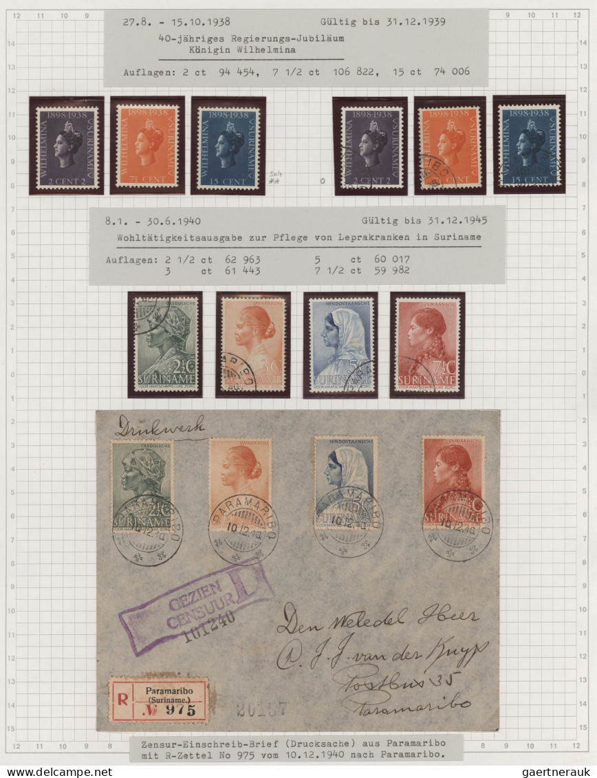 Suriname: 1873/1976, comprehensive used and mint collection well arranged on alb