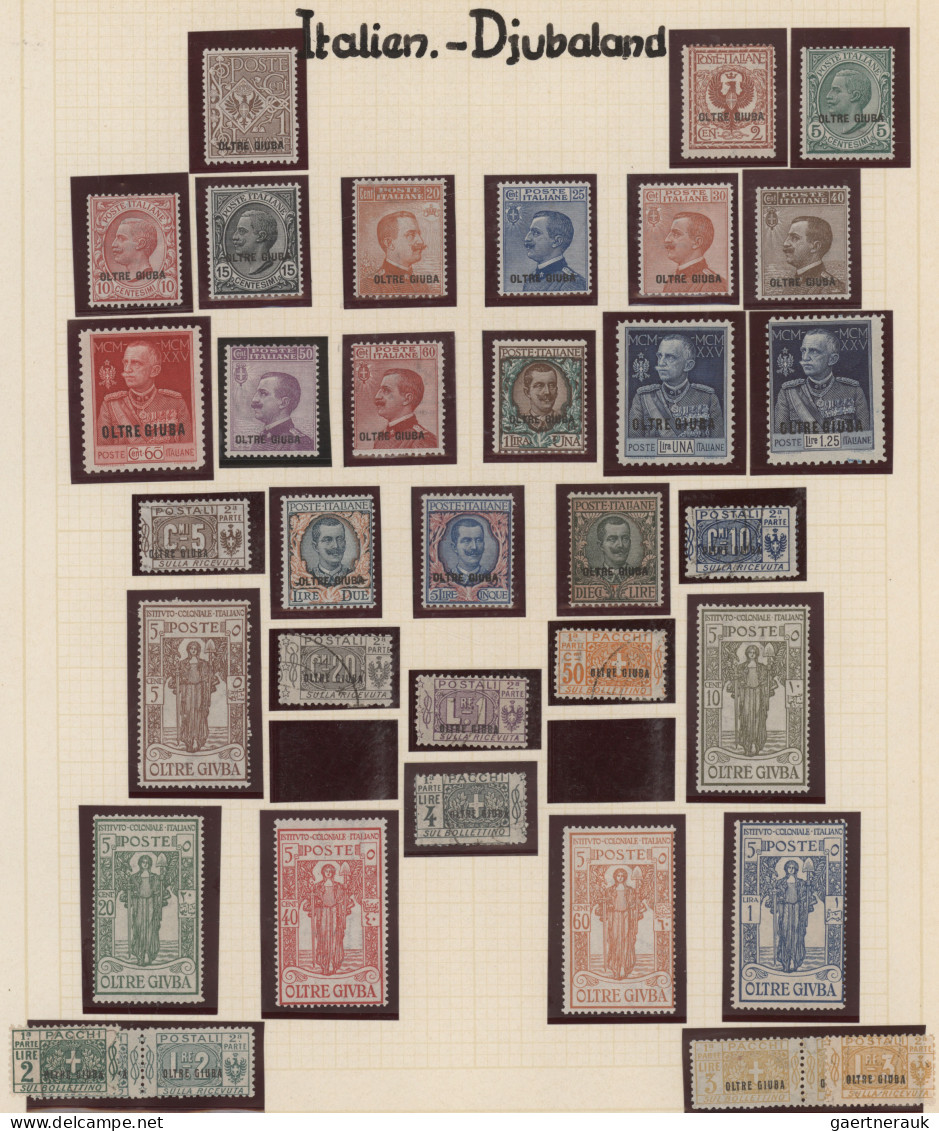 Italian Colonies: 1912/1960 (ca.), Mint And Used Collection Arranged On Album Pa - General Issues