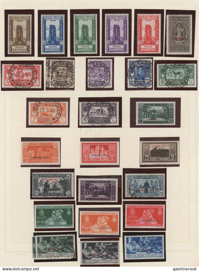 Italian Colonies: 1912/1960 (ca.), mint and used collection arranged on album pa