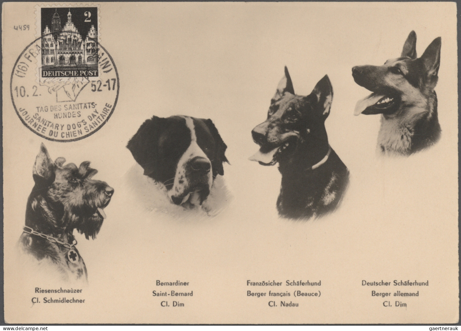 Thematics: animals-dogs: 1900/2000 (ca.), sophisticated collection/balance of ap