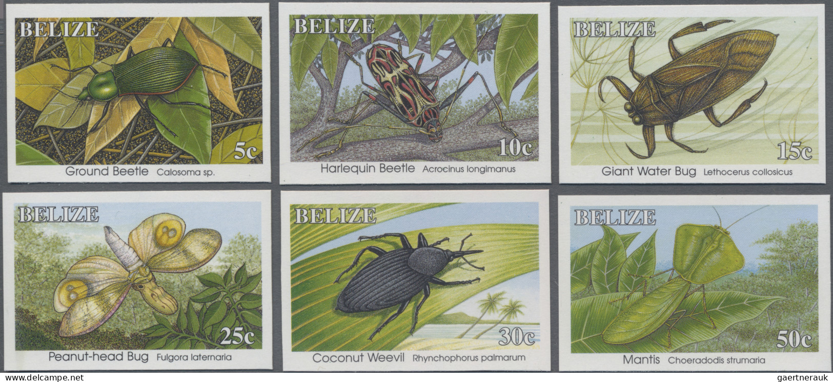 Thematics: Animals-insects: 1995, Belize. Lot With 60 IMPERFORATE Sets 'Insects' - Otros & Sin Clasificación