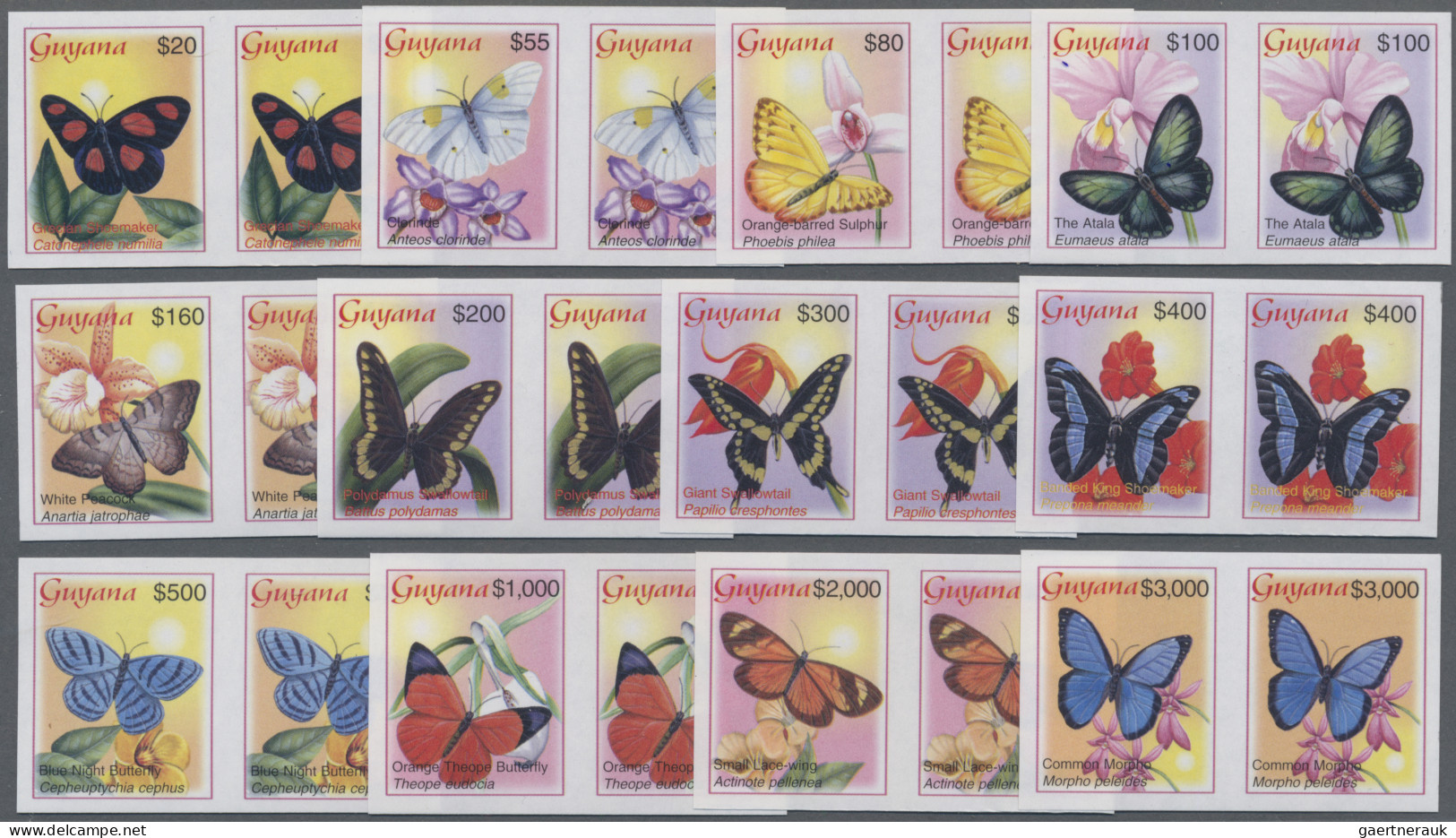 Thematics: Animals-butterflies: 2003, Guyana. Lot With 20 IMPERFORATE Sets (12 V - Vlinders