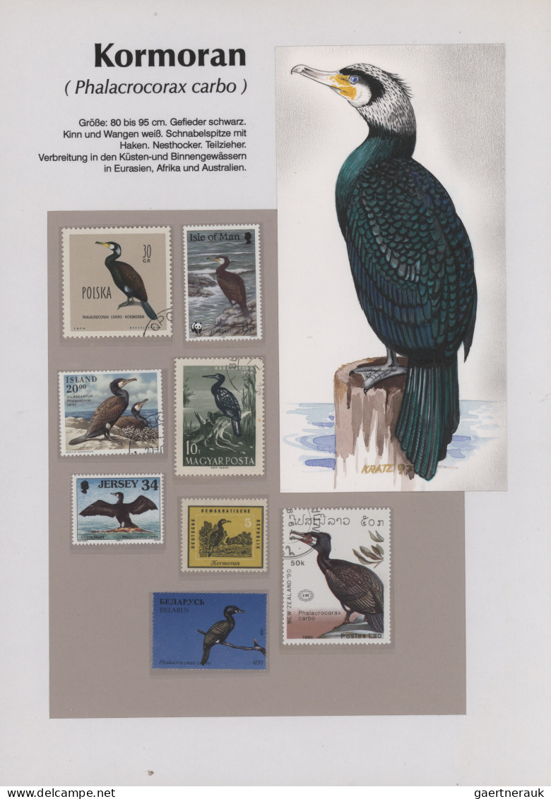 Thematics: animals-birds: 1960/2000 (ca.), comprehensive thematic collection wit