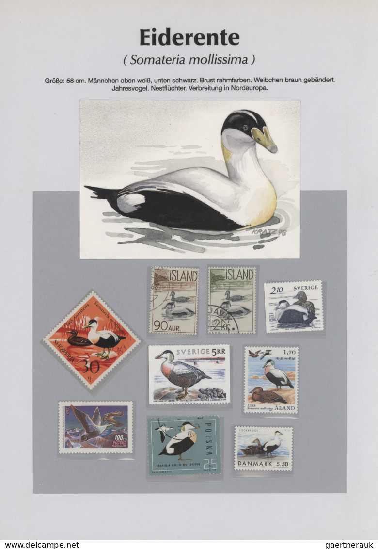 Thematics: animals-birds: 1960/2000 (ca.), comprehensive thematic collection wit