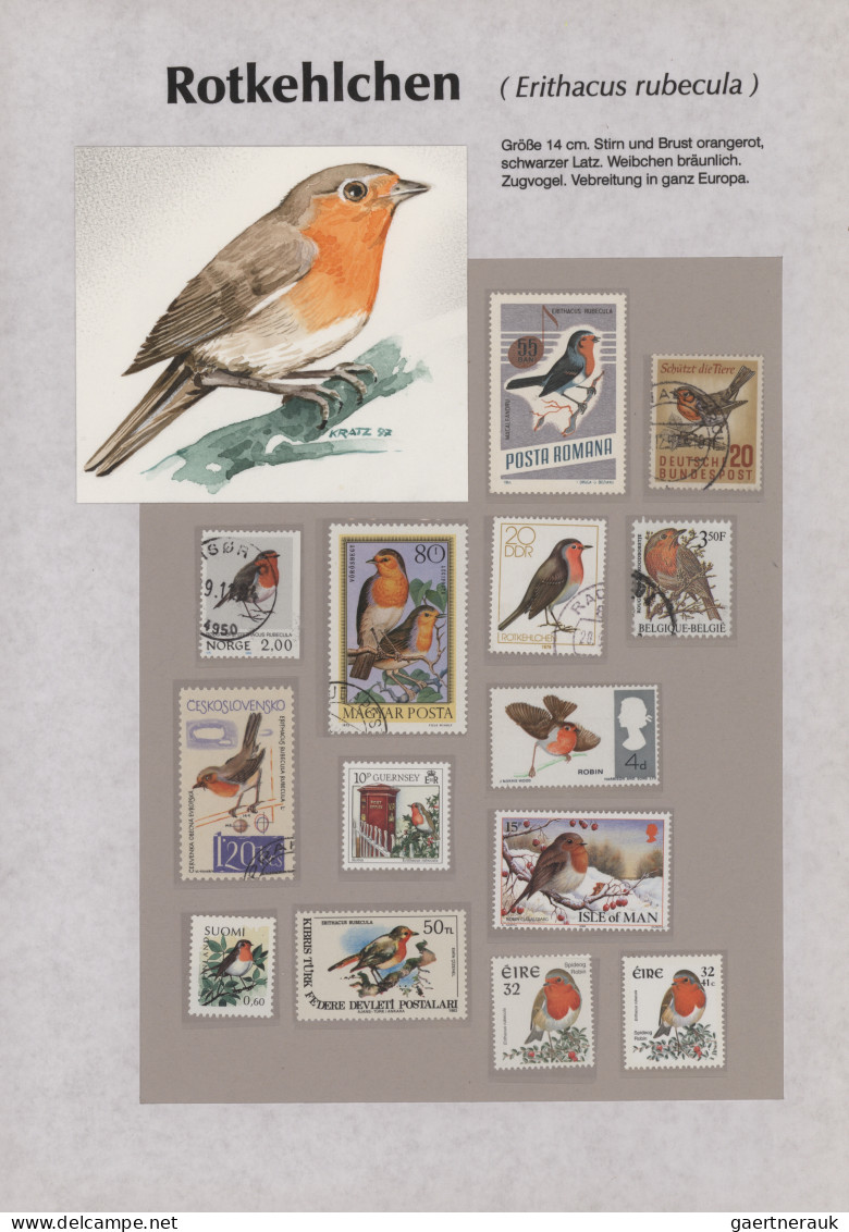 Thematics: animals-birds: 1960/2000 (ca.), comprehensive thematic collection wit