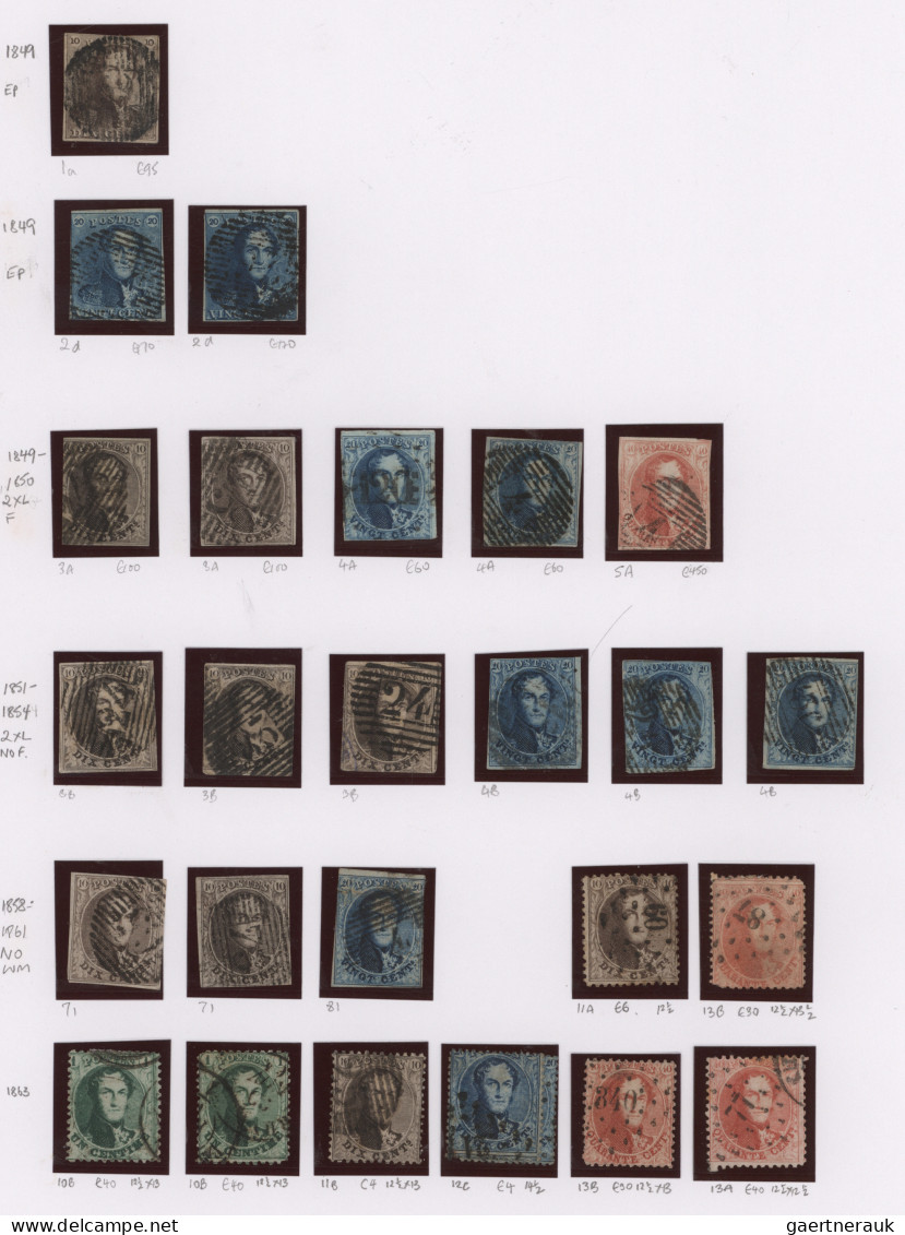 Belgium: 1849/1969, Belgium+Congo, Used And Mint Collection In Three DAVO Albums - Collections