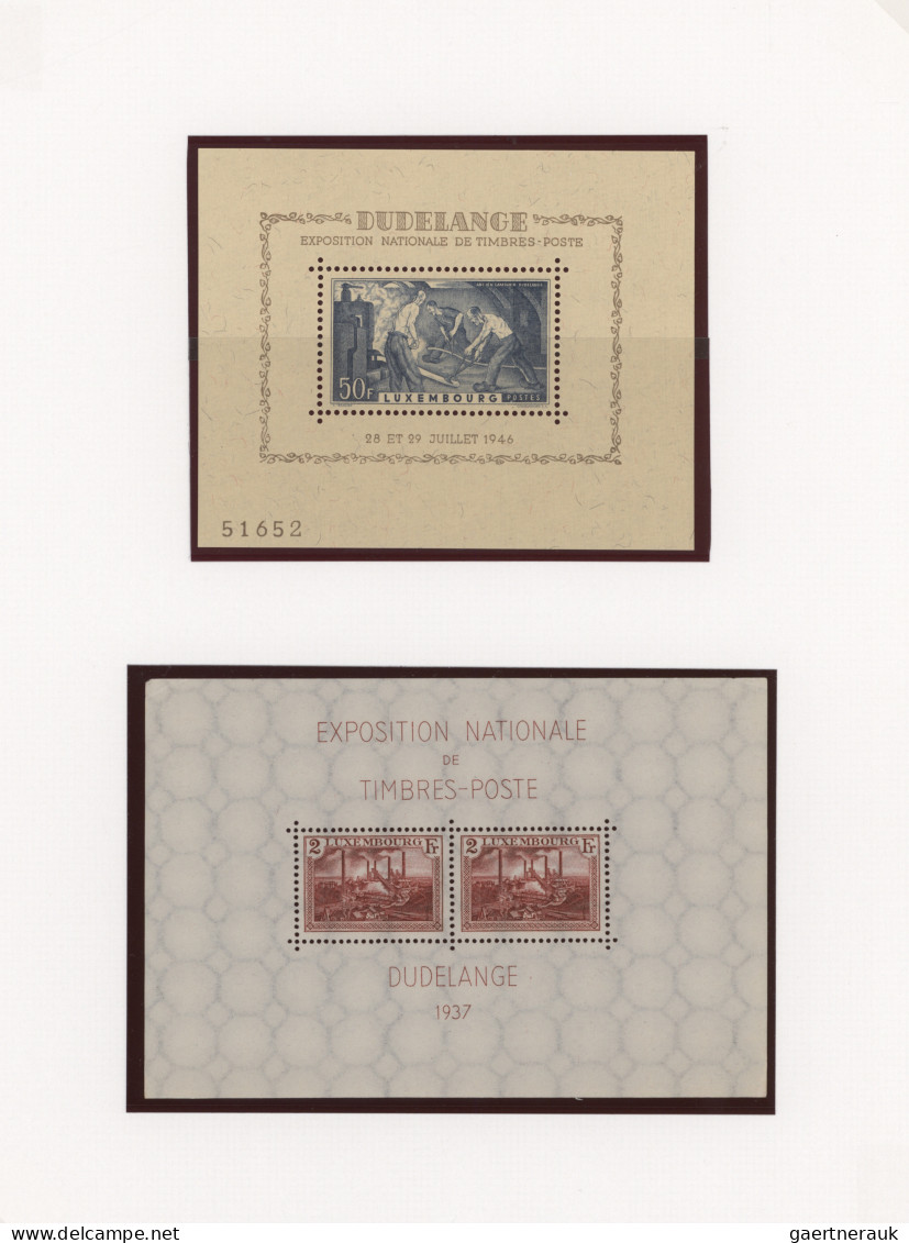 Luxembourg: 1923/1995, Mint Assortment Of Mini Sheets Incl. 1923 Princess Souven - Otros & Sin Clasificación