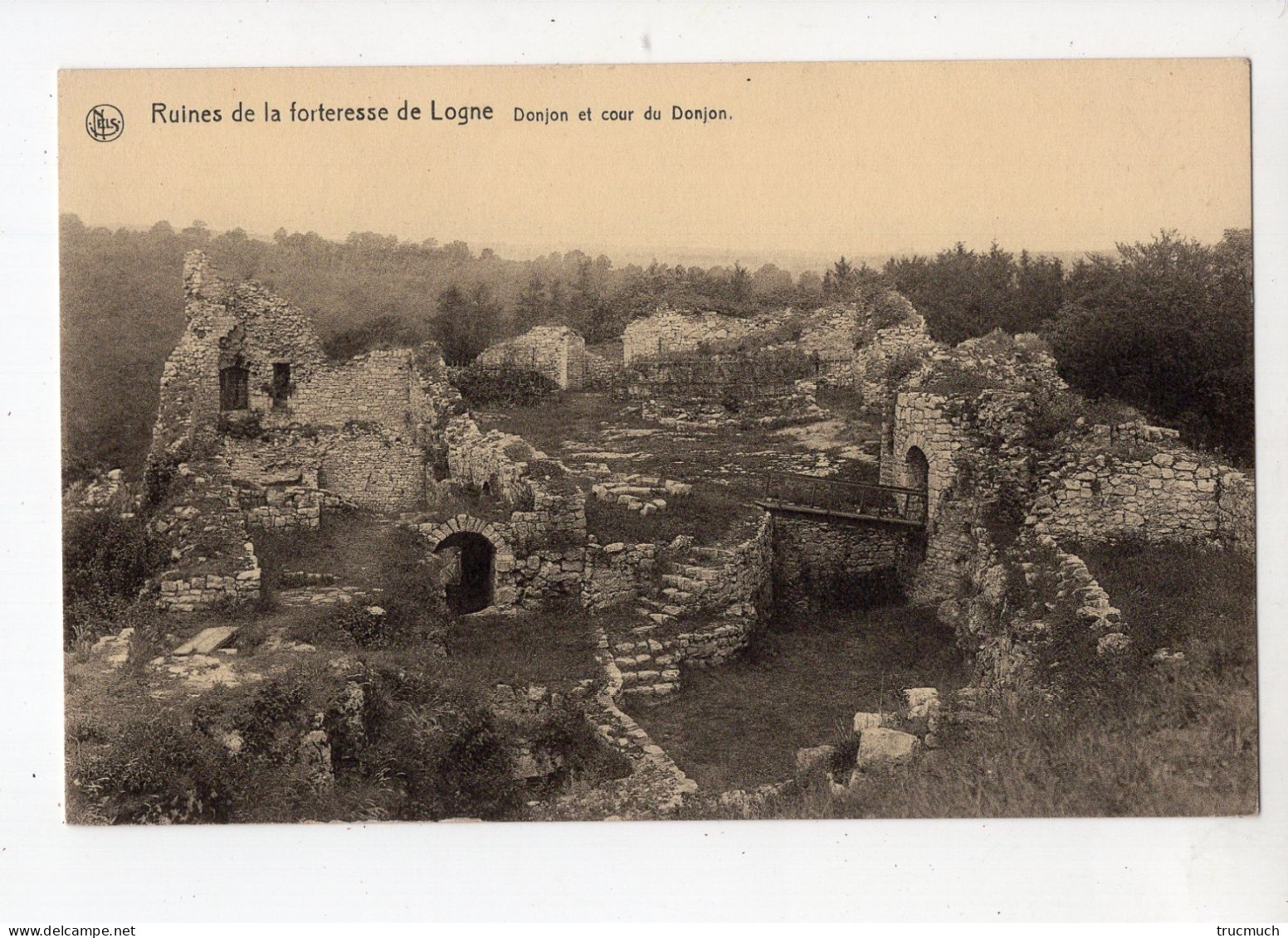 79 - Ruines De La Forteresse De LOGNE - Donjon Et Cour - Ferrières