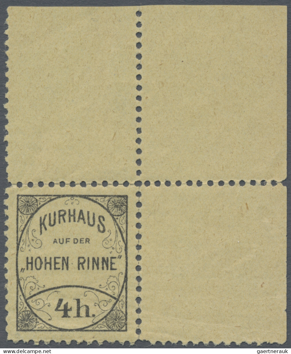 Romania - Specialities: 1906/1924, Hotel Mail "Hohe Rinne" And "Bistra", Group O - Andere & Zonder Classificatie