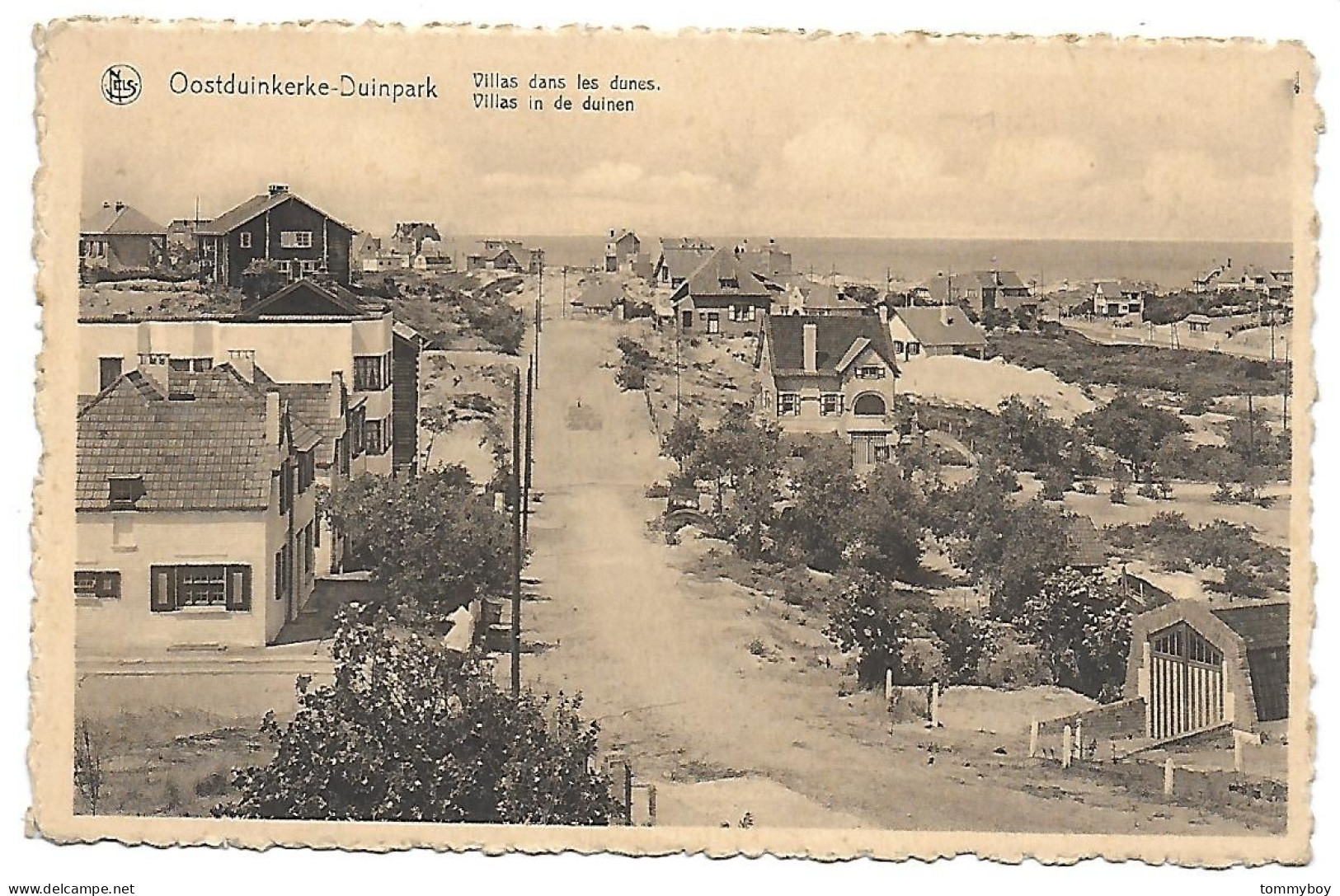 CPA Oostduinkerke-Duinpark, Villas Dans Les Dunes - Oostduinkerke