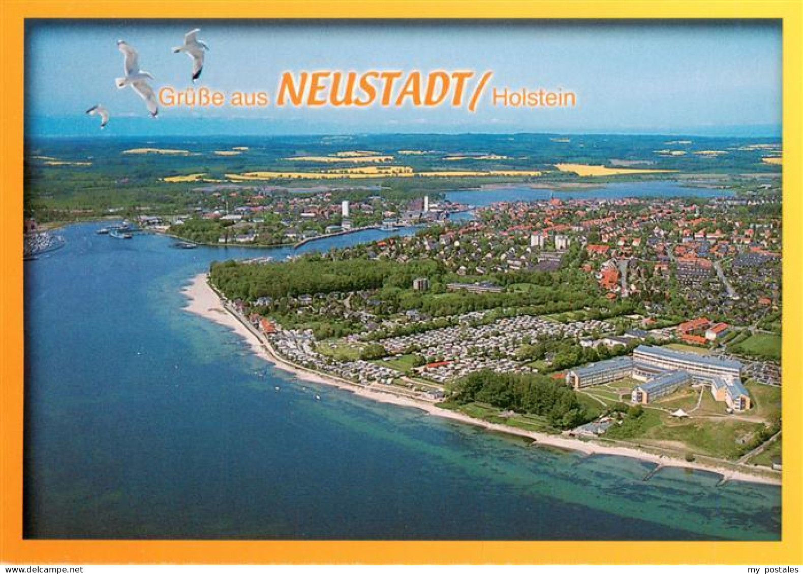 73954412 Neustadt_Holstein Fliegeraufnahme - Neustadt (Holstein)