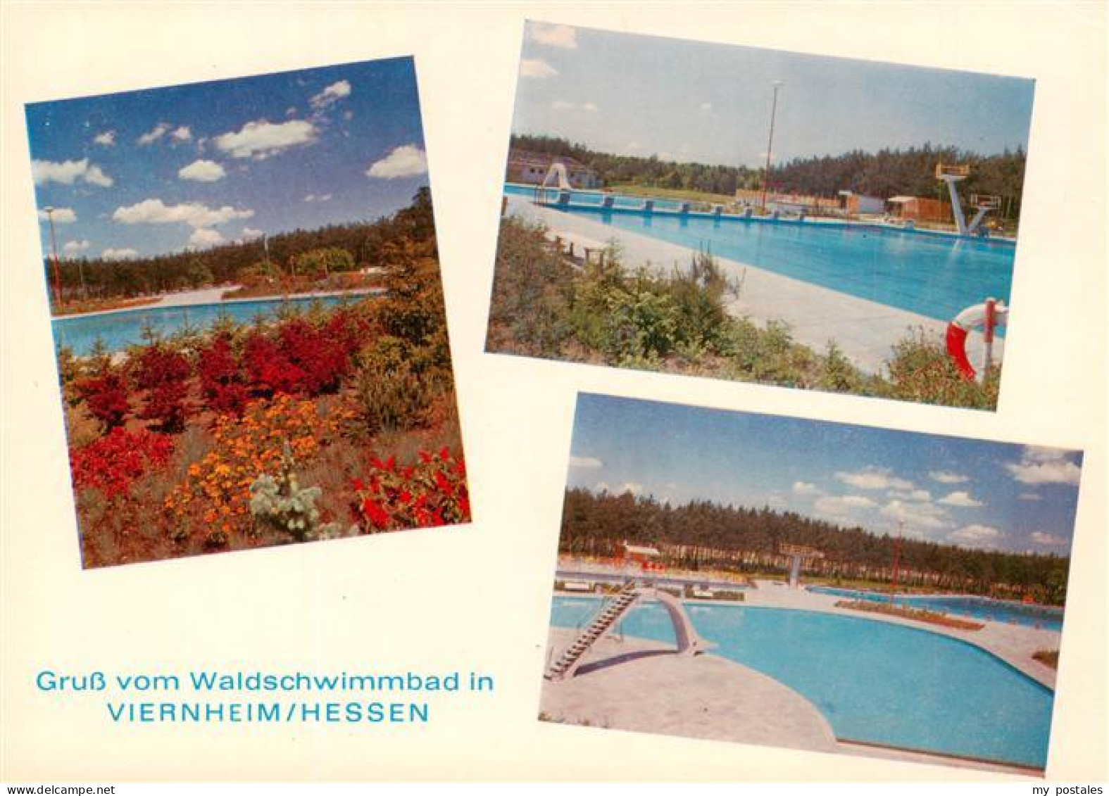 73914344 Viernheim Park Waldschwimmbad Details - Viernheim