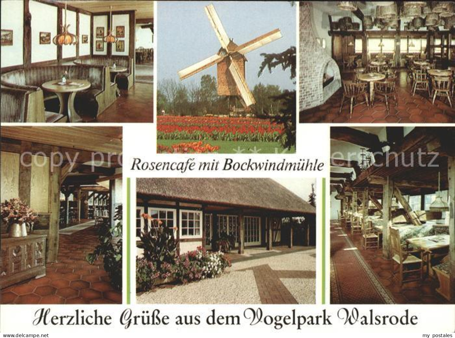 71828876 Walsrode Lueneburger Heide Rosencafe Mit Bockwindmuehle Vogelpark Windm - Walsrode