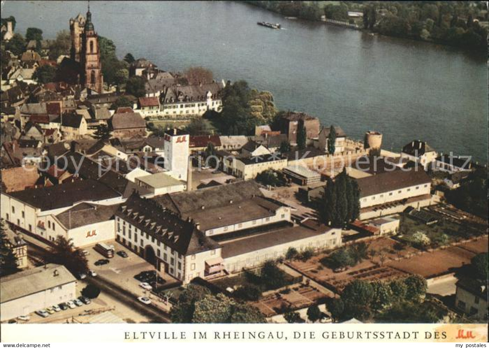 71811188 Eltville Rhein Rheingau MM Fliegeraufnahme Eltville - Eltville