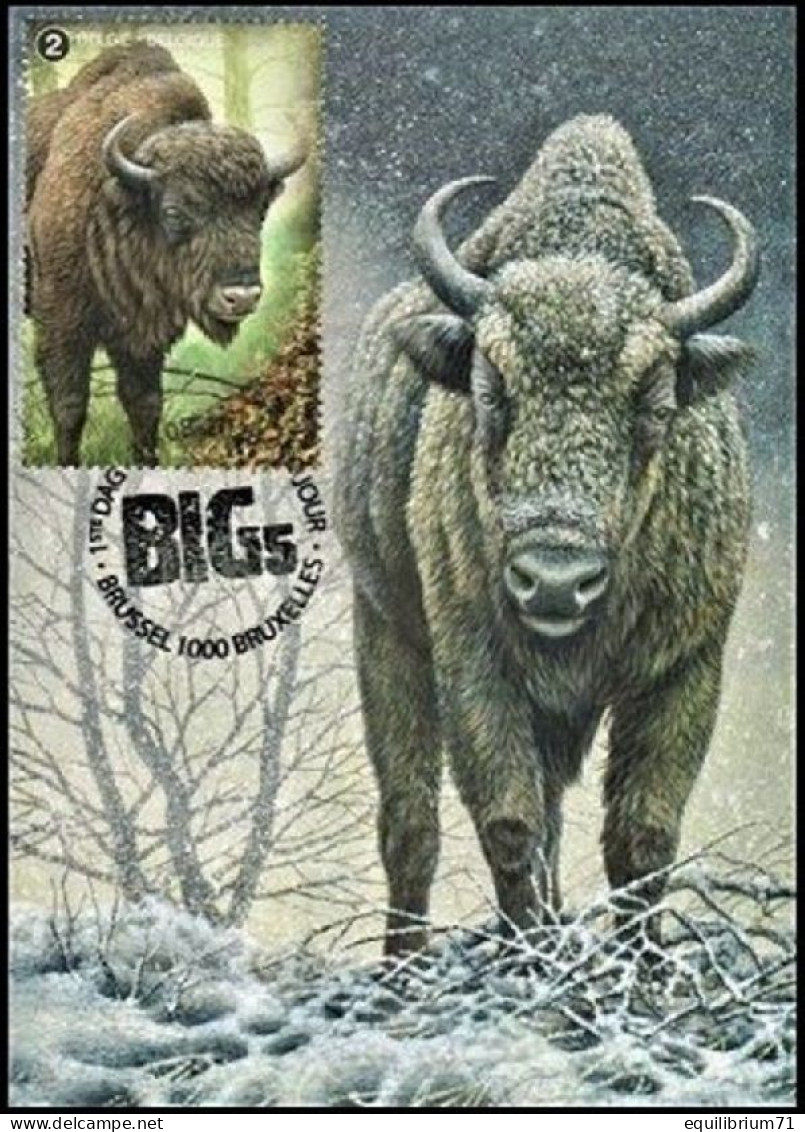 CM / MK 4935/4939°(BL291) - BSL/BXL - BUZIN - BIG5 - Glouton - Bison - Lynx - Ours - Loup - 31-08-2020 - 2011-..