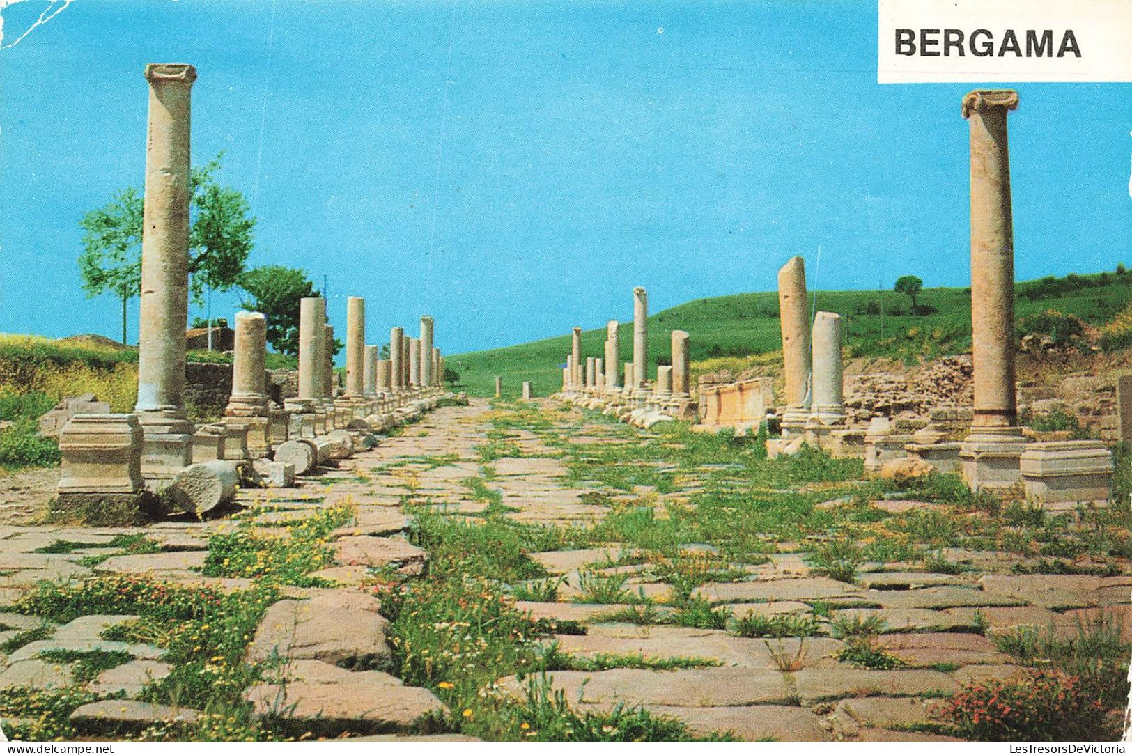 TURQUIE - Bergama Izmir - Mukaddes Yol - Colonnes - Archéologie - Carte Postale - Turquie