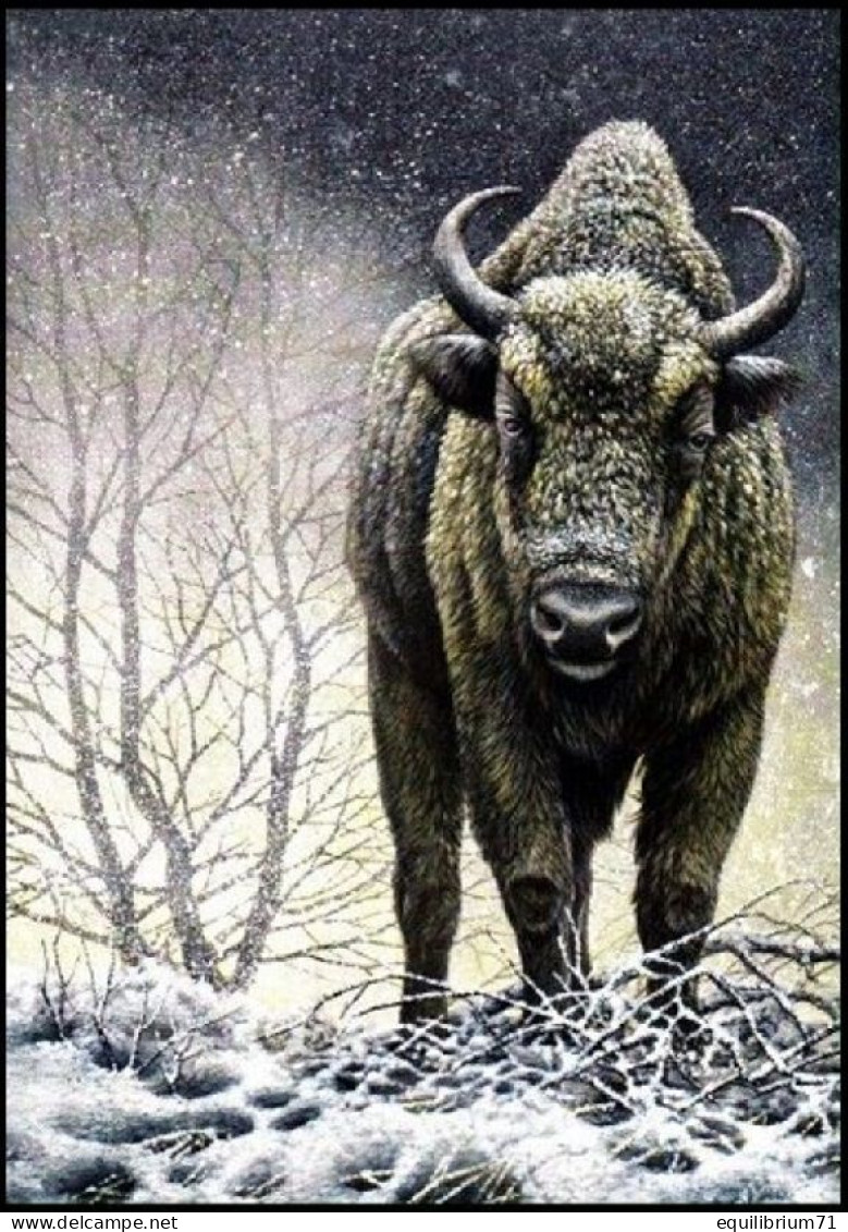 Cartes Maximum / Maximumkaart** - Blanco - BUZIN - BIG5 - Glouton - Bison - Lynx - Ours - Loup - 2011-..