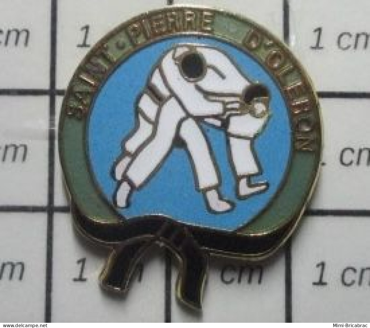 615E Pin's Pins / Beau Et Rare / SPORTS / CHARENTE MARITIME JUDO KARATE JUDO ST PIERRE D'OLERON - Judo