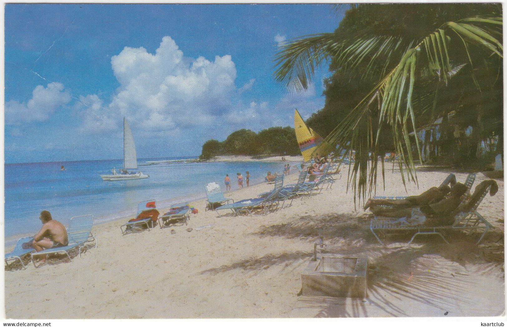 Barbados - Cunard Paradise Beach - (Catamaran) - Barbados (Barbuda)