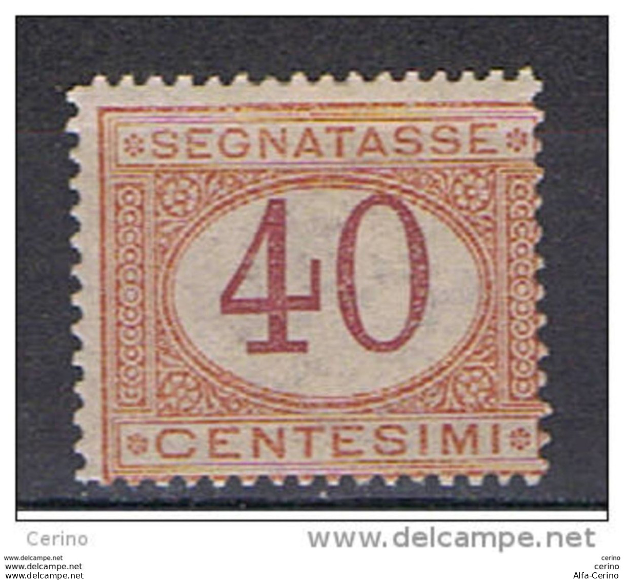 REGNO:  1870/94  TASSE  -  40 C. ARANCIO  E  CARMINIO  N. -  SASS. 8 - Segnatasse