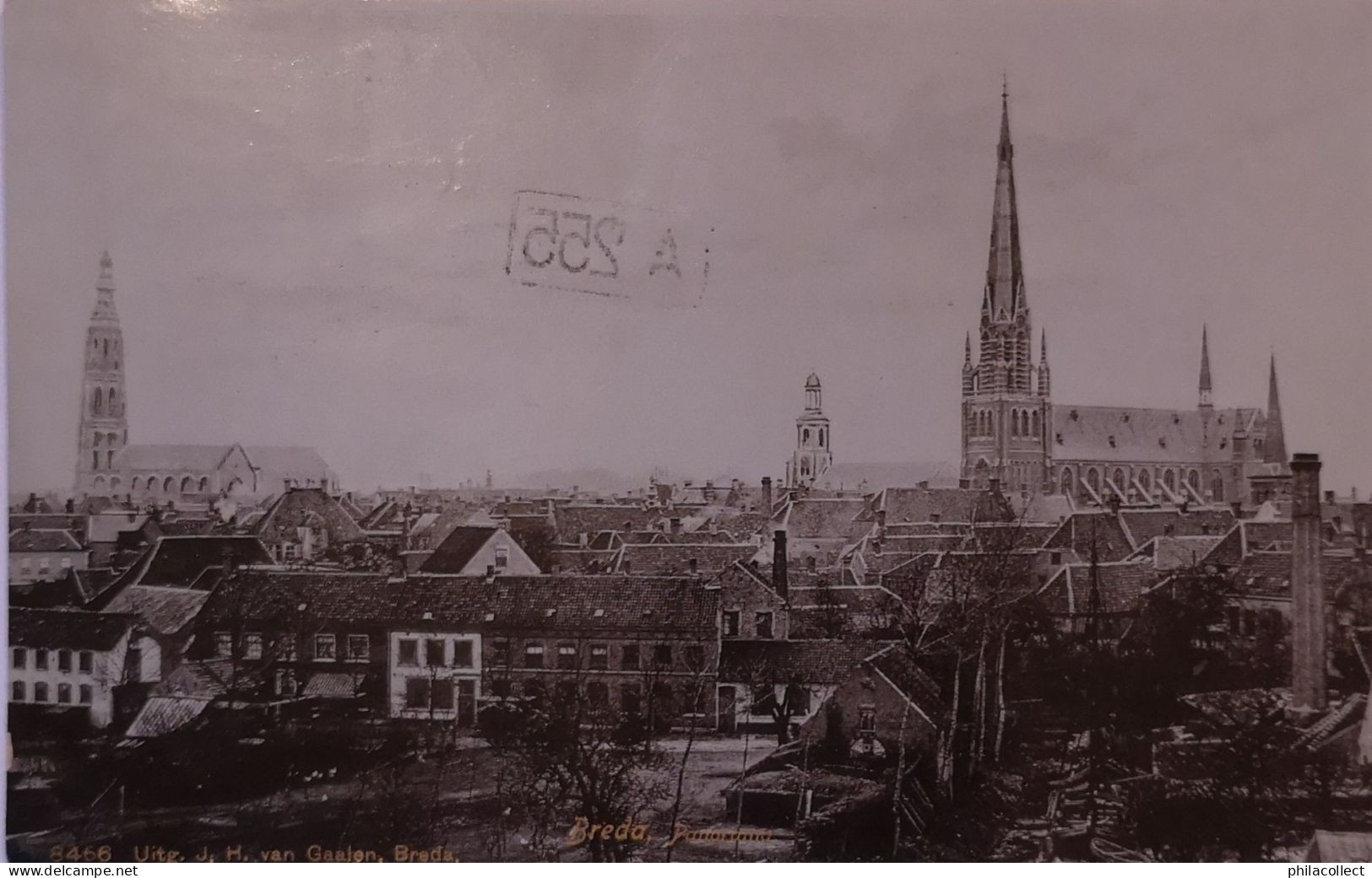 Breda // Panorama  1905 Topkaart  Uitg. JH Van Gaalen - Breda