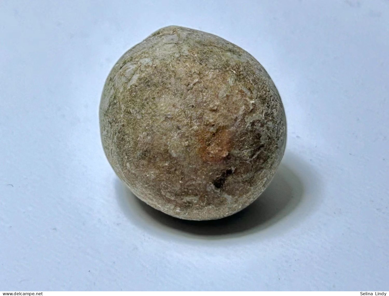Cystoids - Rare Fossils-Echinosphaerites - 5 cm - 5 cm