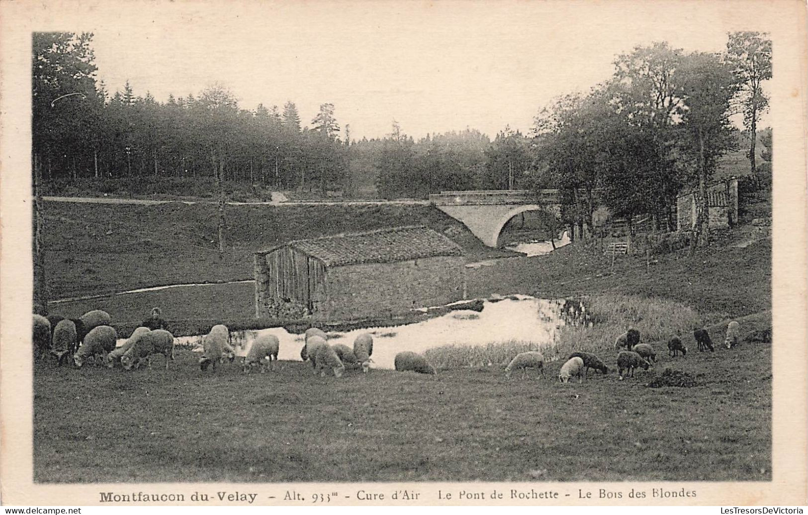 FRANCE - Montfaucon Du Velay - Cure D'Air - Le Pont De Rochette - Le Bois Des Blondes - Carte Postale Ancienne - Montfaucon En Velay