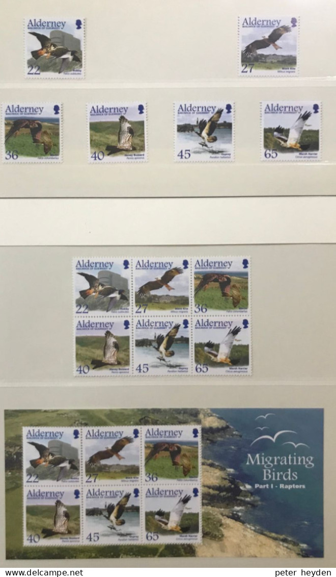 Alderney 2002 Migrating Birds 1 Raptors ~ MNH Set + S/s + Singles From S/s ~ Falcon, Merlin, Buzzard - Alderney