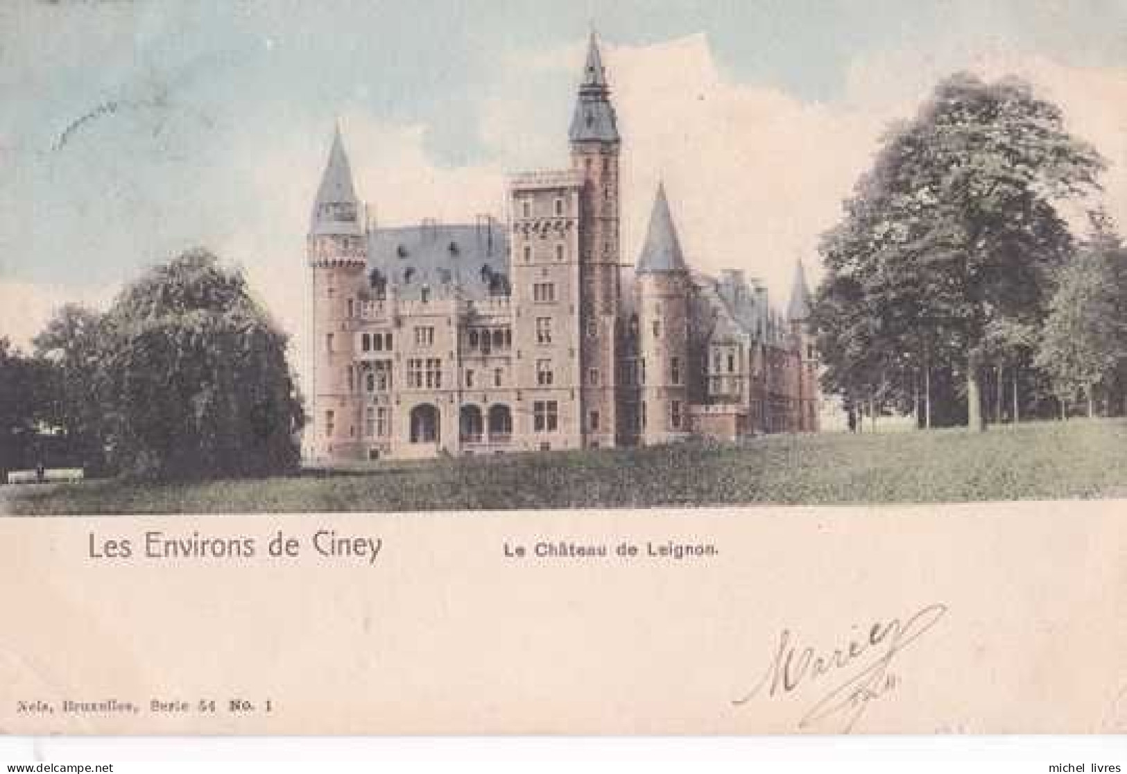 Ciney - Environs - Le Château De Leignon - Circulé En 1904 - Dos Non Séparé - TBE - Ciney