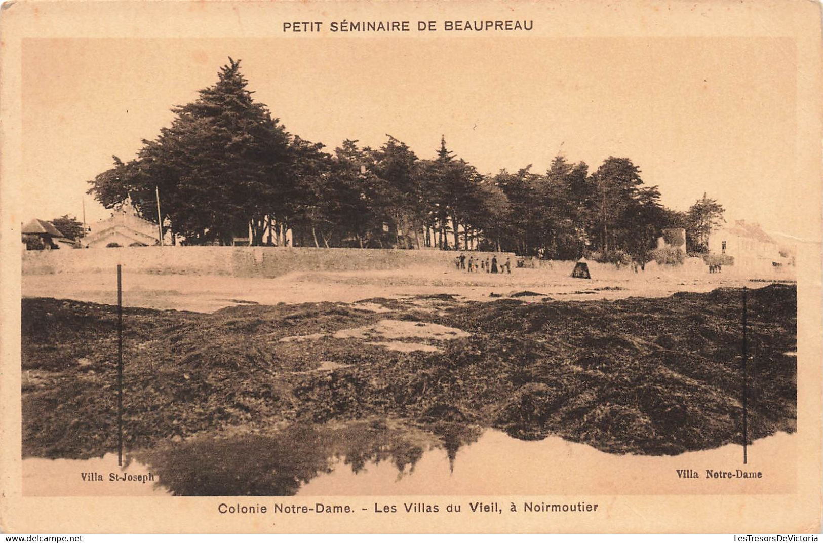 FRANCE - Noirmoutier - Colonie Notre Dame - Vue Sur Les Villas Du Vieil - Carte Postale Ancienne - Noirmoutier