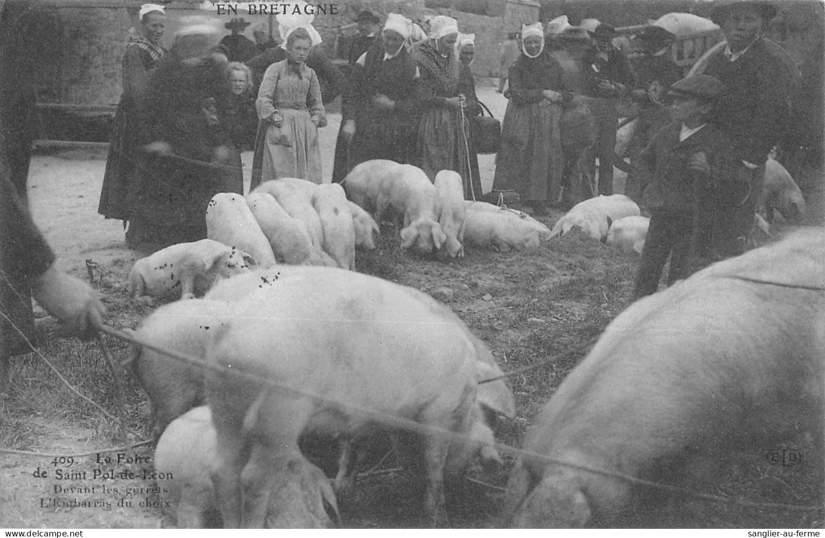 CPA 29 LA FOIRE DE SAINT POL DE LEON / DEVANT LES GORETS / L'EMBARRAS DU CHOIX - Saint-Pol-de-Léon