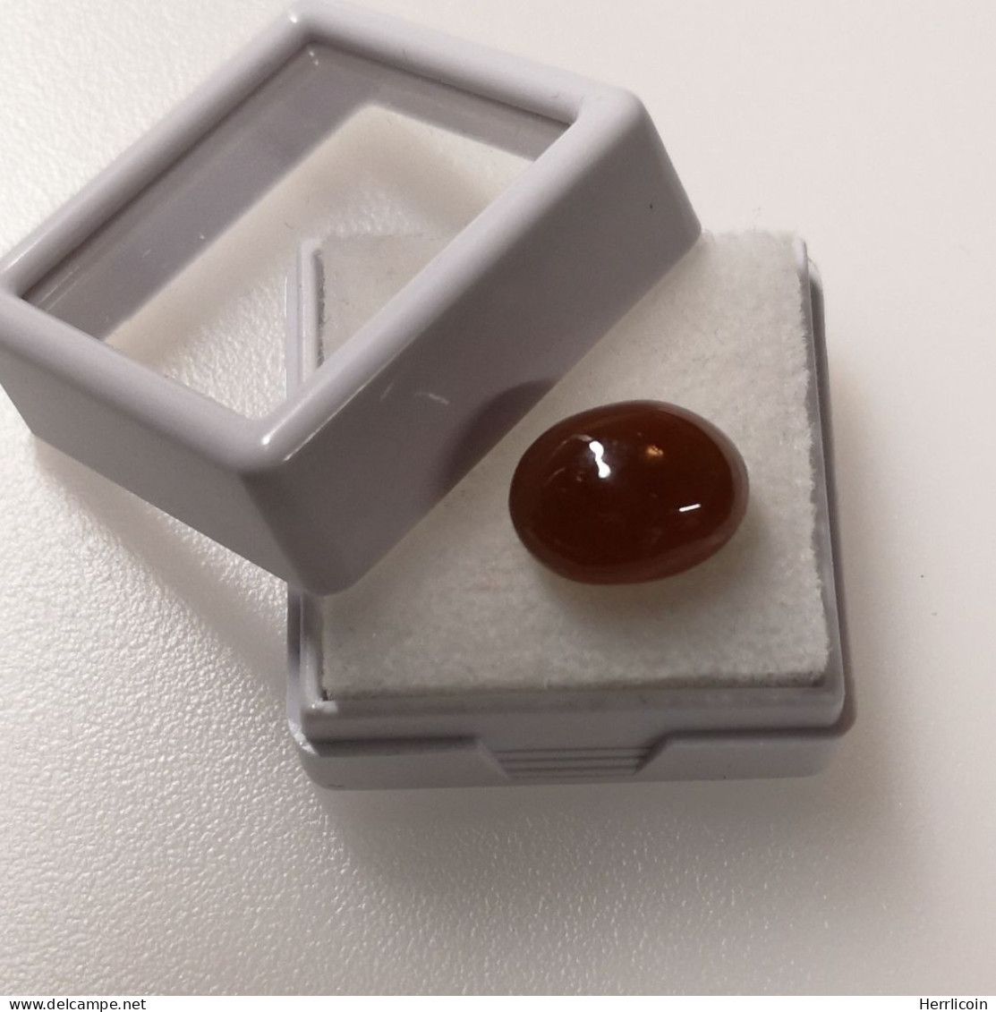 Grenat Spessartite Naturel Cabochon De Namibie - 6.79 Carats - 11.9 X 9.4 X 6.2 Mm - Altri & Non Classificati