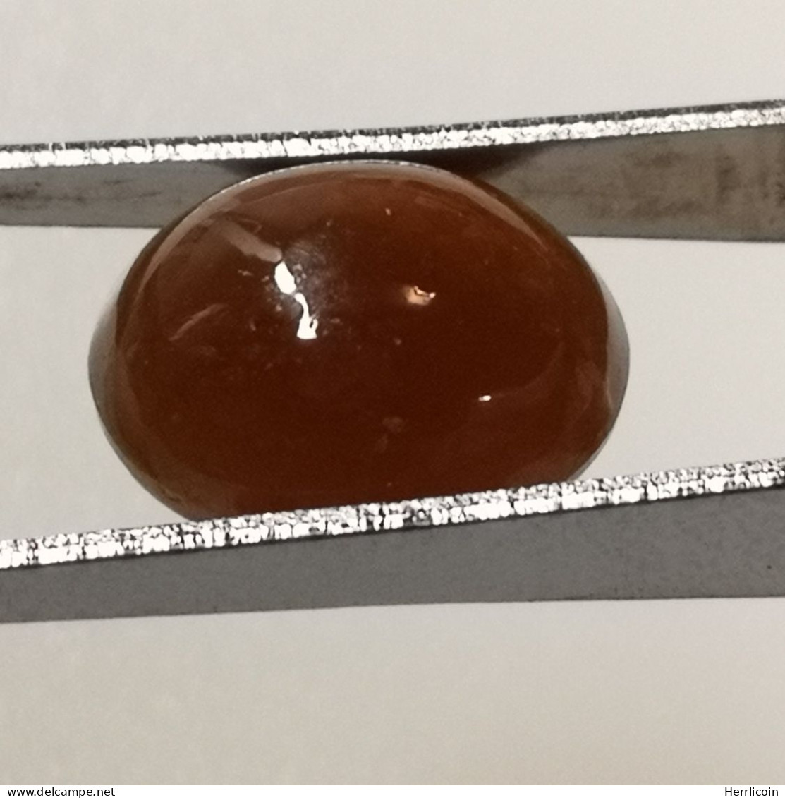 Grenat Spessartite Naturel Cabochon De Namibie - 6.79 Carats - 11.9 X 9.4 X 6.2 Mm - Altri & Non Classificati