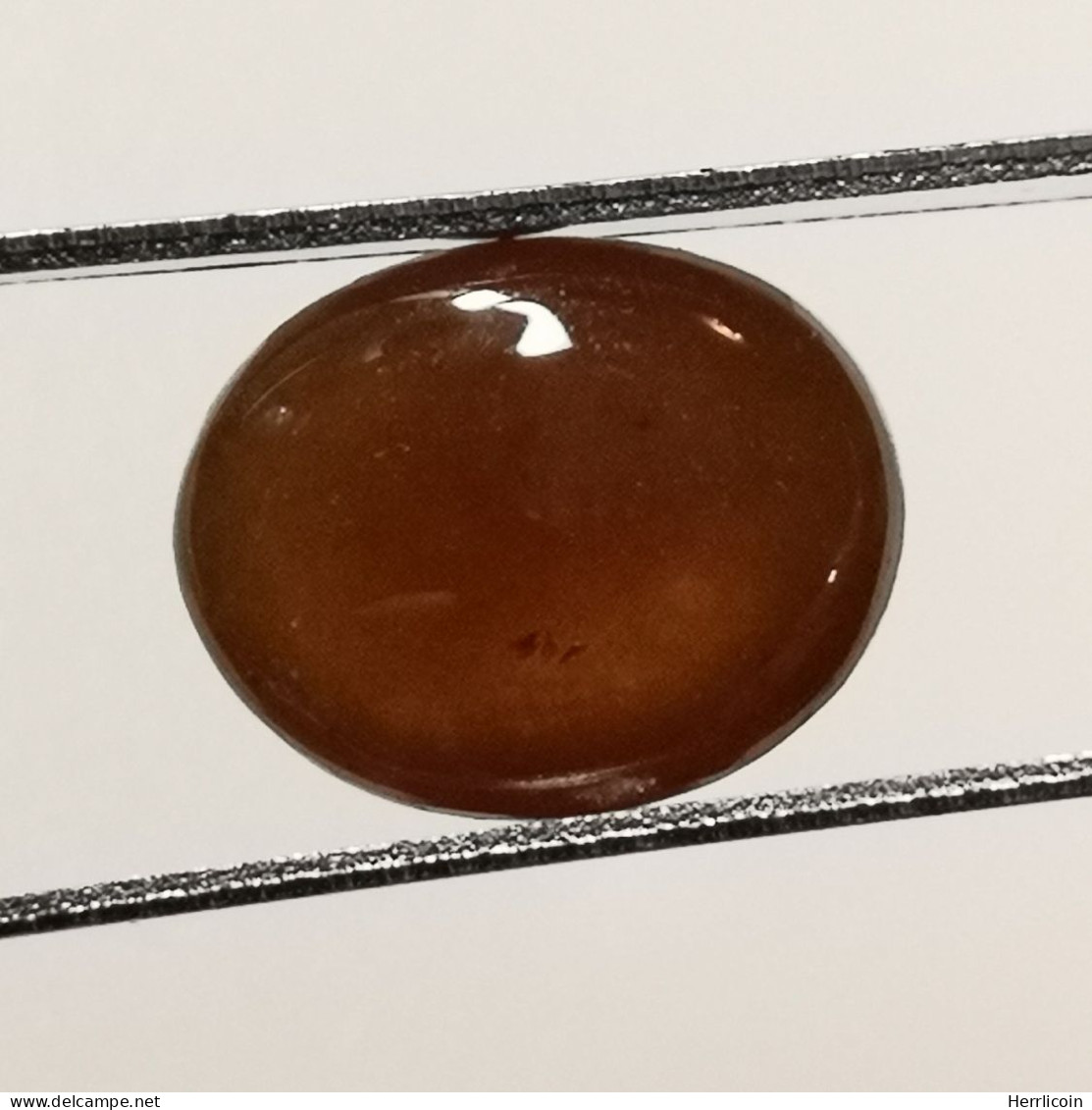 Grenat Spessartite Naturel Cabochon De Namibie - 6.79 Carats - 11.9 X 9.4 X 6.2 Mm - Autres & Non Classés