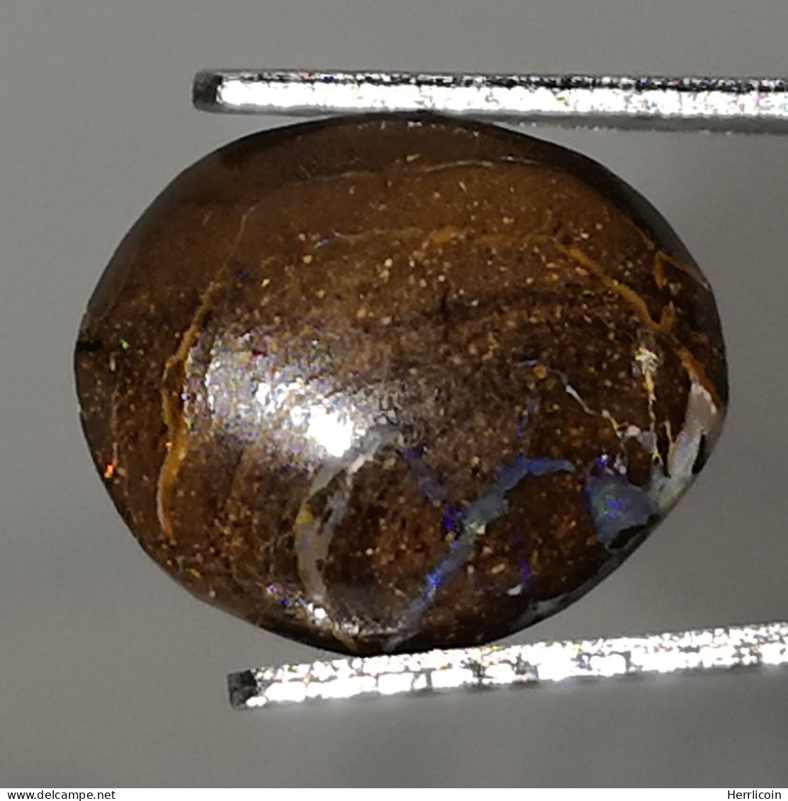 Opale Boulder Australienne: 3.94 Carats | Cabochon Ovale | Marron-Violet-Bleu-Vert - Opale