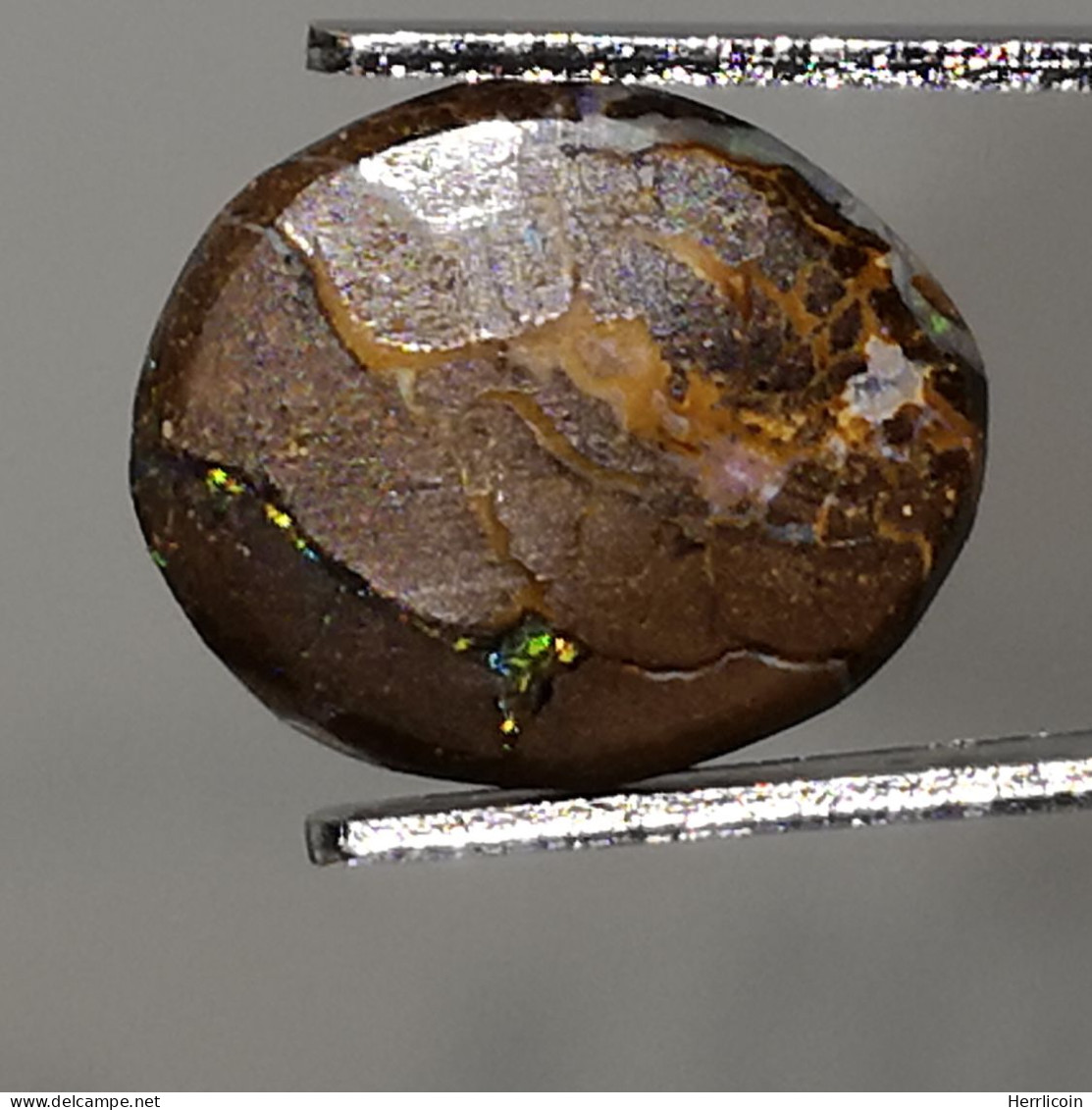 Opale Boulder Australienne: 3.94 Carats | Cabochon Ovale | Marron-Violet-Bleu-Vert - Opale