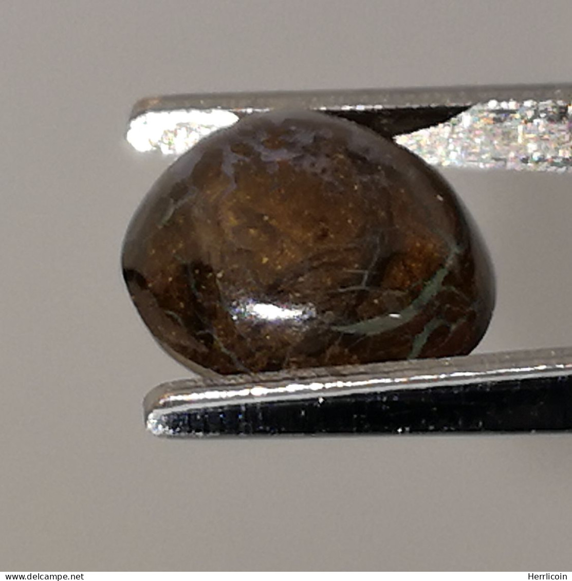 Opale Boulder Australienne: 2.60 Carats | Cabochon Ovale | Marron-Violet-Bleu-Vert - Opaal